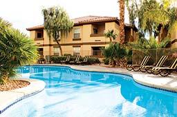 Desert Paradise Resort
