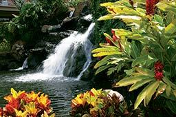 Ka'anapali Beach Club