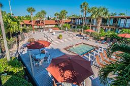 Magic Tree Resort