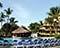 Coral Costa Caribe