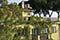 Residence Dehon
