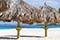 La Quinta Beach Resort
