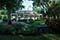Oak Plantation