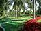 Mystic Dunes Resort & Golf Club