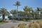 Plantation House