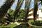 Plantation Village Beach Resort