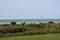 Sanibel Beach Club I