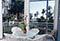 Sanibel Cottages