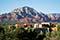 Sedona Summit