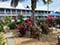 Surfrider Beach Club