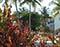 Woodbourne Estates Resort