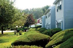 Briarwood