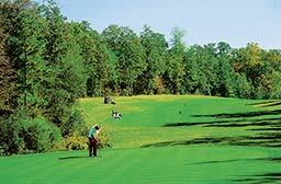 Greensprings Vacation Resort